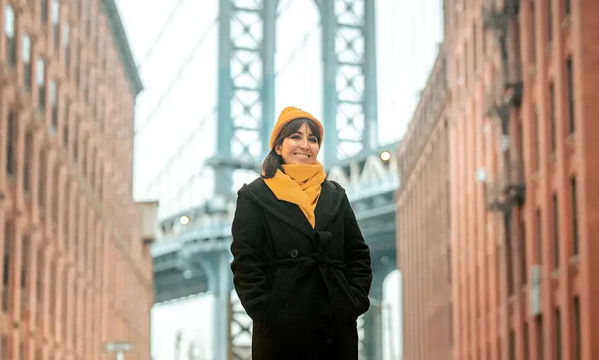 New York City overview image