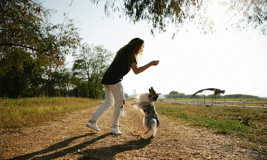 Los Angeles overview image