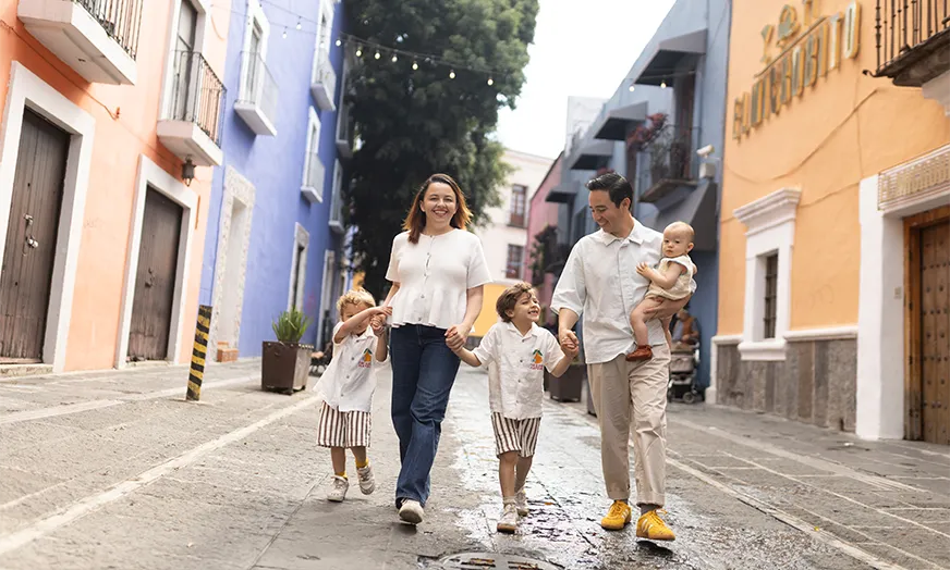 Puebla overview image