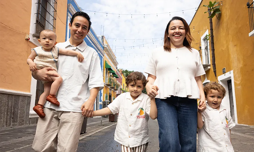 Puebla overview image