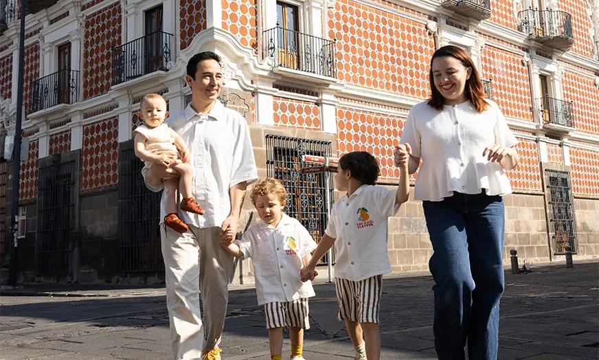 Puebla overview image