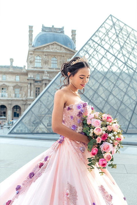 Paris overview image